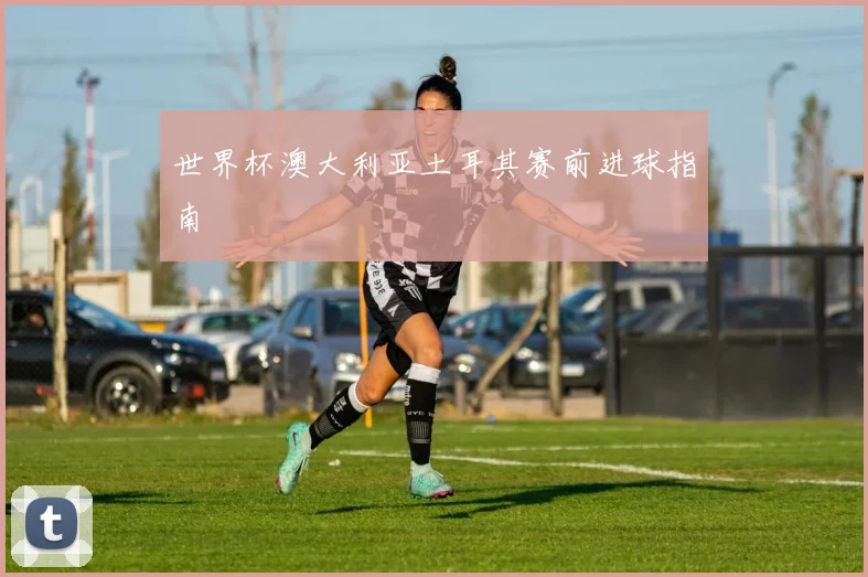 世界杯澳大利亚土耳其赛前进球指南