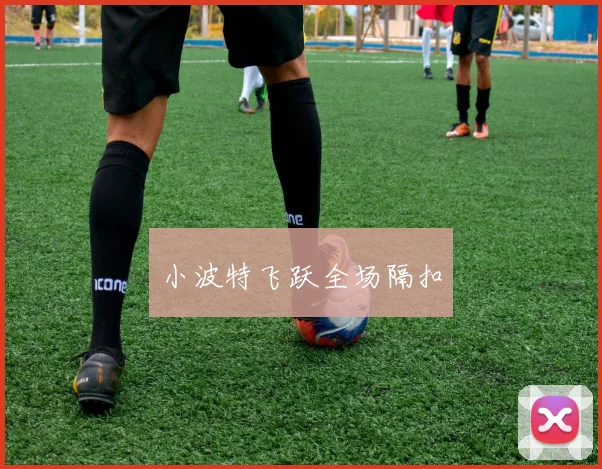 小波特飞跃全场隔扣