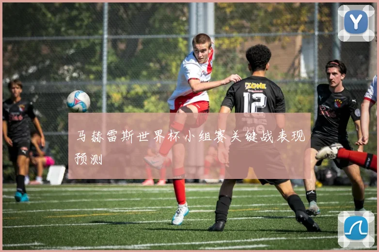 马赫雷斯世界杯小组赛关键战表现预测
