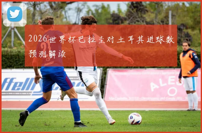 2026世界杯巴拉圭对土耳其进球数预测解读