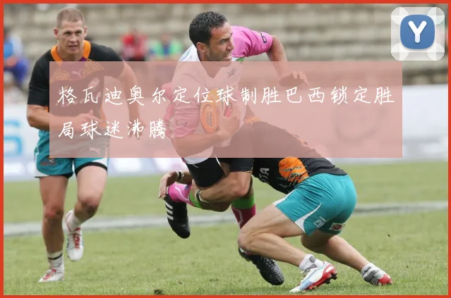 格瓦迪奥尔定位球制胜巴西锁定胜局球迷沸腾