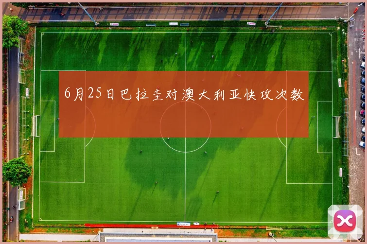 6月25日巴拉圭对澳大利亚快攻次数